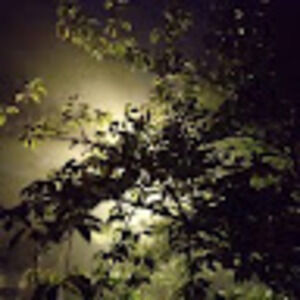 Meet your Posher, Ishrat